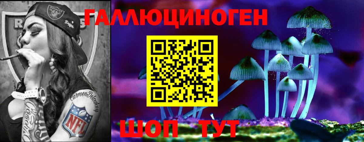 Галлюциногенные грибы MAGIC MUSHROOMS  Вход с VPN  Псилоцибиновые грибы Cubensis  Губаха 
