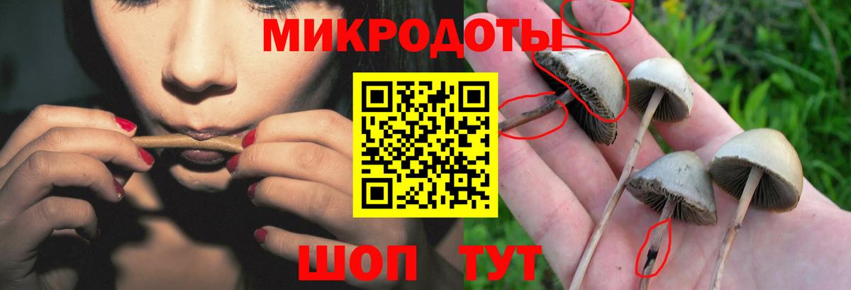 Псилоцибиновые грибы прущие грибы Губаха